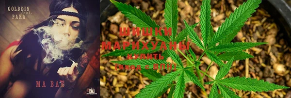 спиды Абдулино